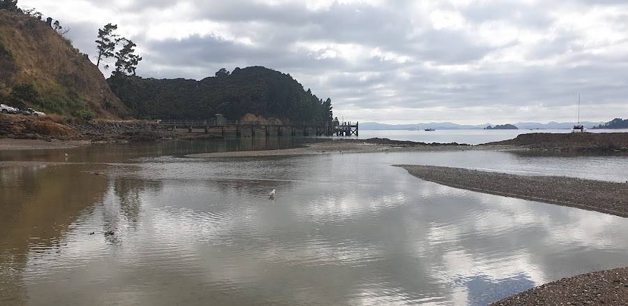 Man O War Bay — Remote bay — Waiheke Island Circuit — New Zealand