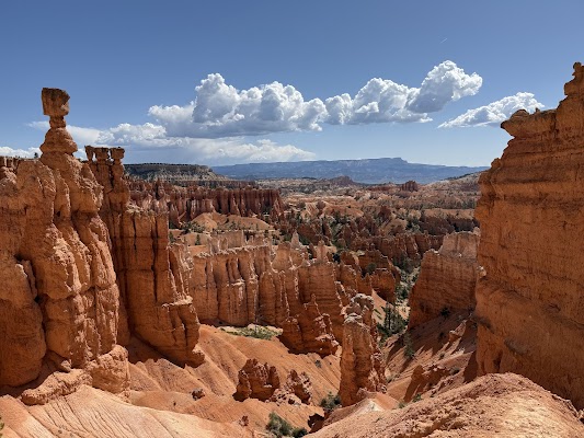 Navajo Loop Trail
