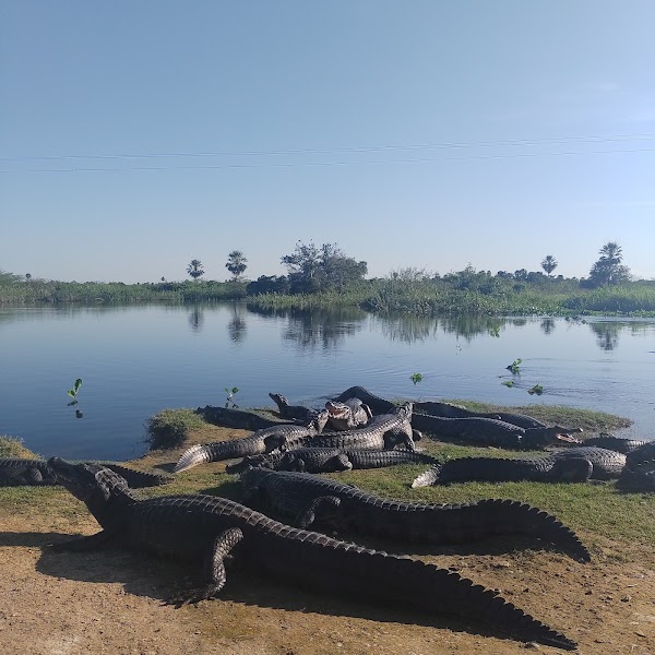Pantanal Sul