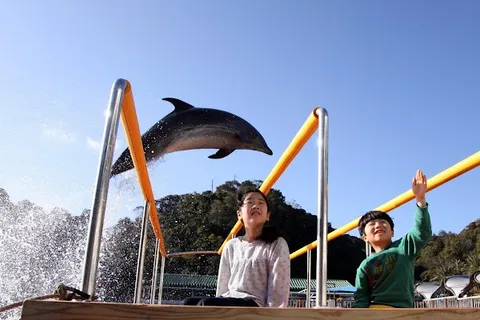Shimoda Floating Aquarium — Aquarium — Izu Peninsula Loop — Japan