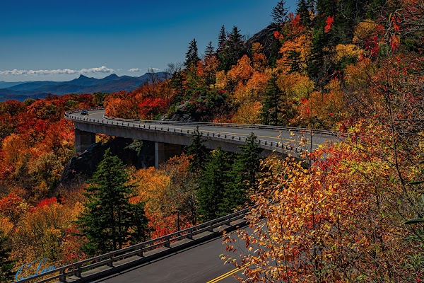 Linn Cove Viaduct