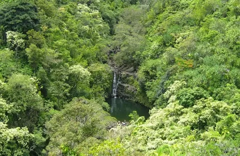 Garden of Eden Arboretum — Botanical Garden — Road to Hāna — United States