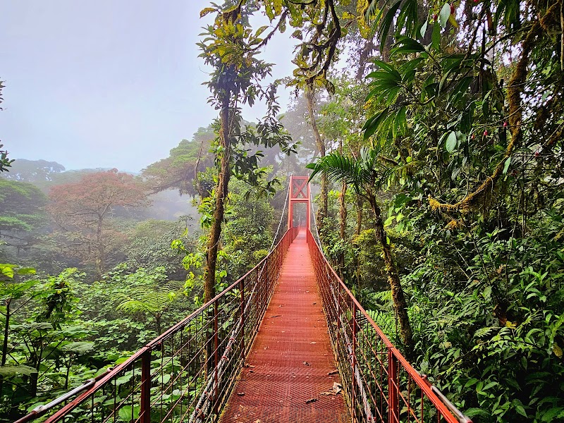 Monteverde