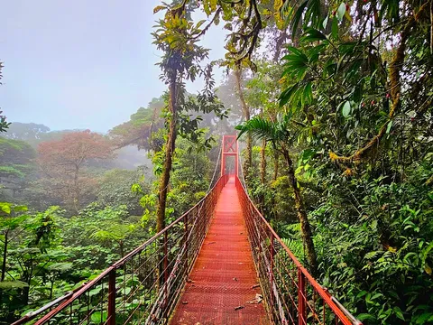 Monteverde — Nature — Costa Rica: Parks & Wildlife — Costa Rica