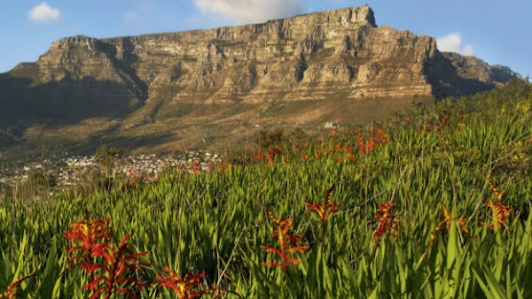 Table Mountain Aerial Cableway