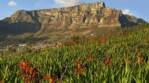 Table Mountain Aerial Cableway — Scenic Viewpoint — Cape Town & Garden Route — South Africa
