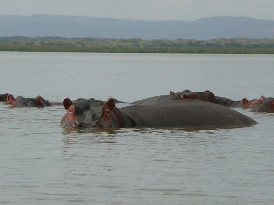 Lake Naivasha