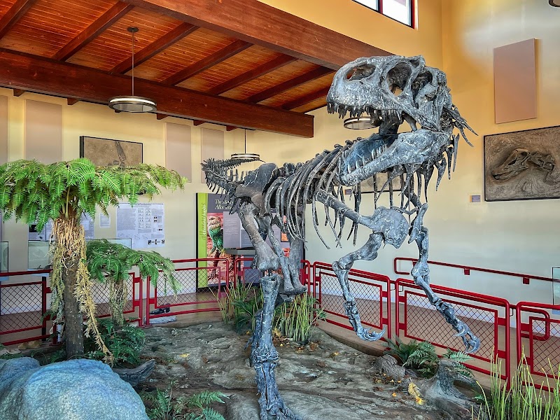 Cleveland-Lloyd Dinosaur Quarry