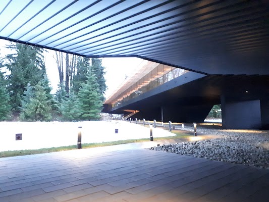 Audain Art Museum