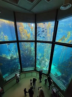 Monterey Bay Aquarium — Landmark — Pacific Coast Hwy — United States