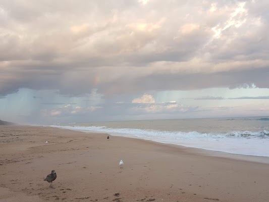 Gippsland Lakes Coastal Park