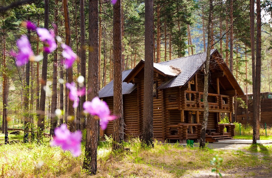 Orlinoye Gnezdo Restaurant — Altai and European — Novosibirsk to Kosh-Agach via the Chuya Trakt — Russia