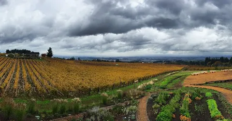 Dundee — City — Willamette Valley — United States