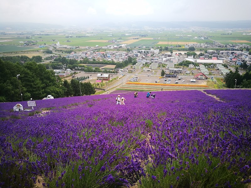 Farm Tomita