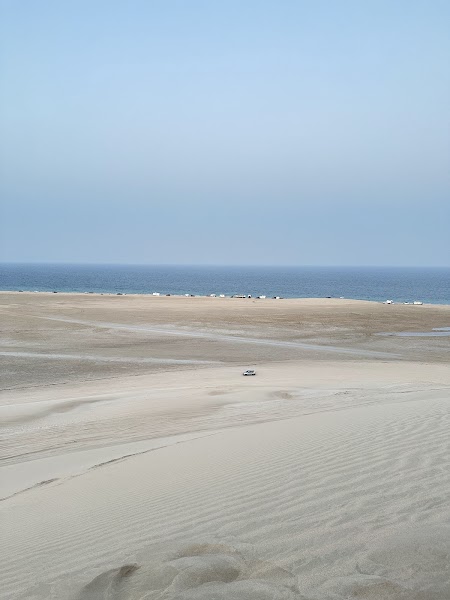 Sealine — Nature — Qatar Inland Sea and North Coast Loop — Qatar