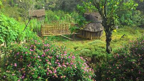 Kainantu