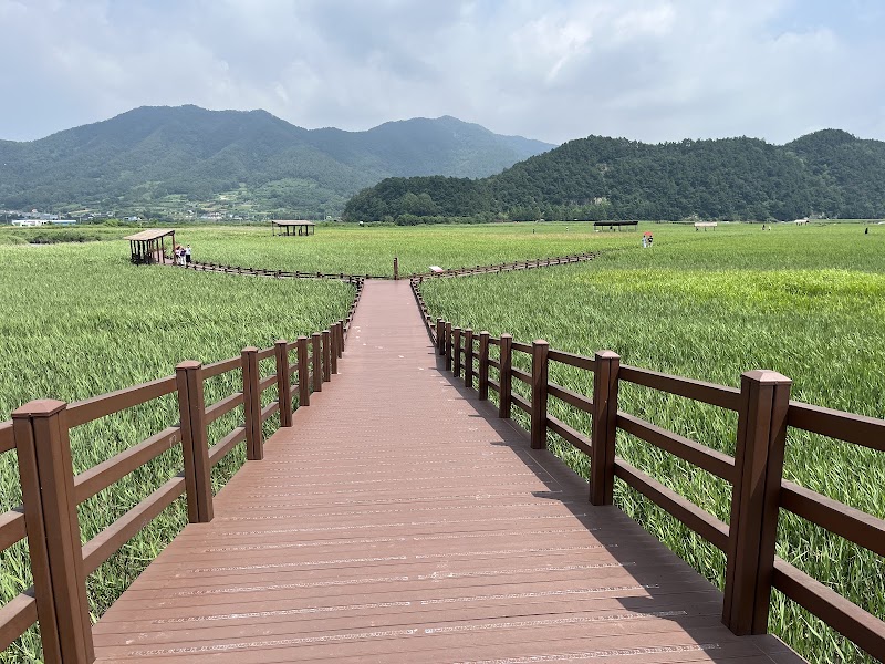 Suncheon Bay — Nature — Busan–Jinju–Suncheon–Gwangju Cultural Route — South Korea