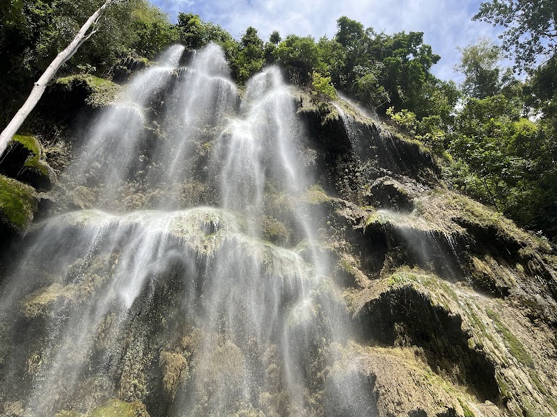 Tumalog Falls