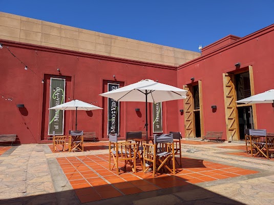 Museo de la Vid y el Vino