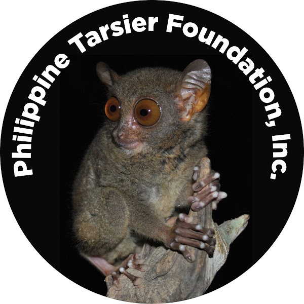 Philippine Tarsier Sanctuary, Corella — Wildlife conservation — Cebu and Bohol Road Trip — Philippines