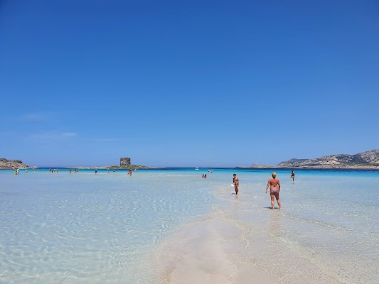 Spiaggia della Pelosa