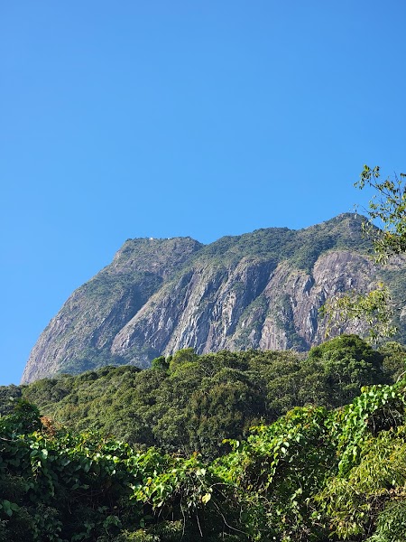 Jianfengling National Park