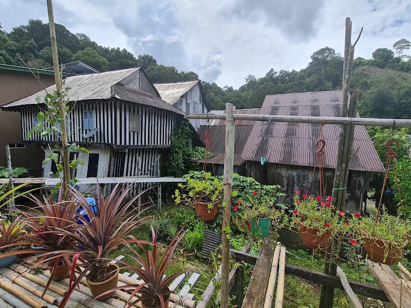Prearranged Serian longhouse visit — Cultural visit — Sarawak Pan-Borneo Highway — Malaysia