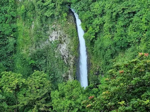 La Fortuna Waterfall — Waterfall — Costa Rica: Parks & Wildlife — Costa Rica