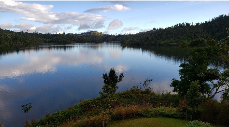 Carite Lake — nature viewpoint — Ruta Panorámica Puerto Rico — Puerto Rico