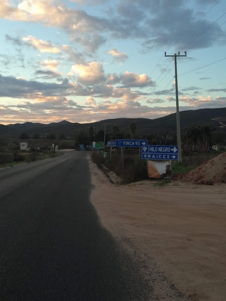 La Ruta del Vino