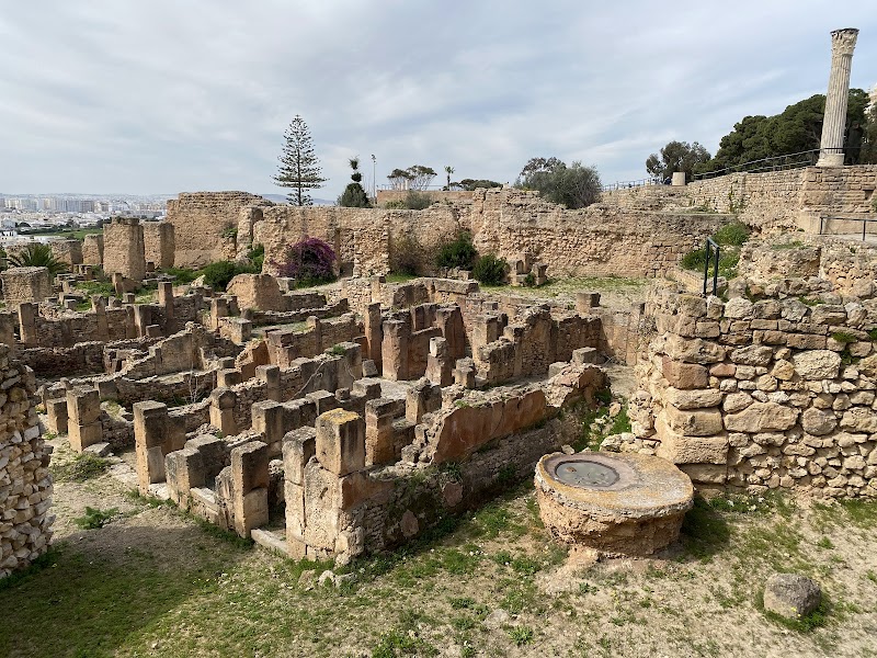 Carthage Archaeological Site — Historic Site — Tunis to Douz: Medinas to Sahara — Tunisia