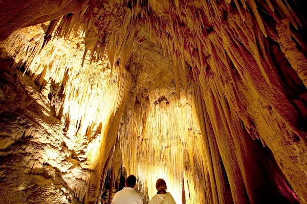 Hastings Caves and Thermal Springs