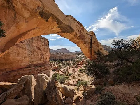 Capitol Reef — Nature — Southern Utah Parks Traverse — United States