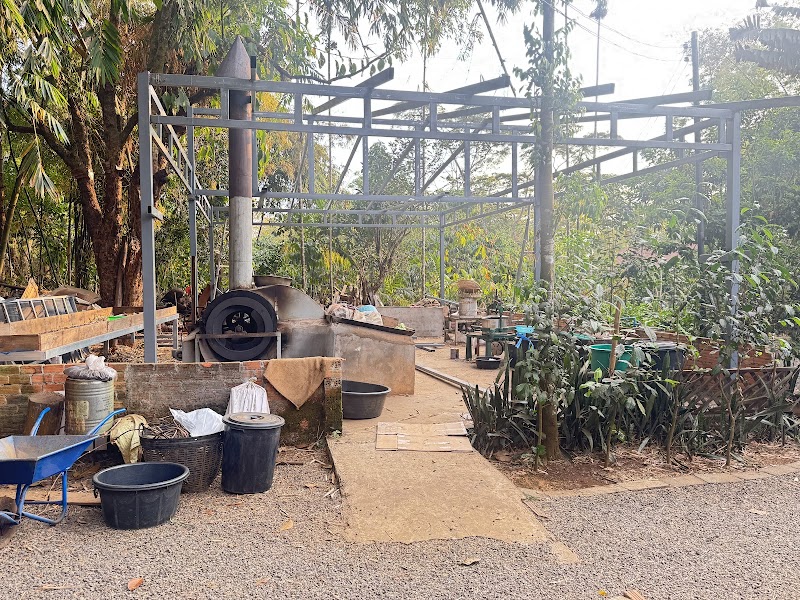 Tour a coffee plantation in Paksong