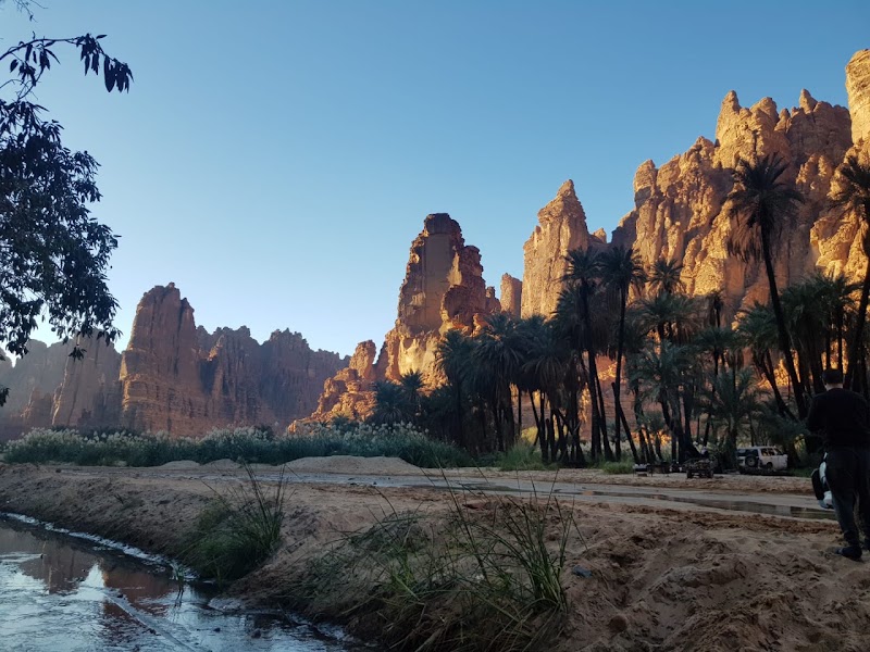 Wadi Al Disah — Nature — AlUla to Haql via Tabuk and Wadi Al Disah — Saudi Arabia