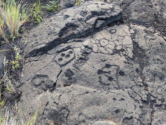 Puʻu Loa Petroglyphs