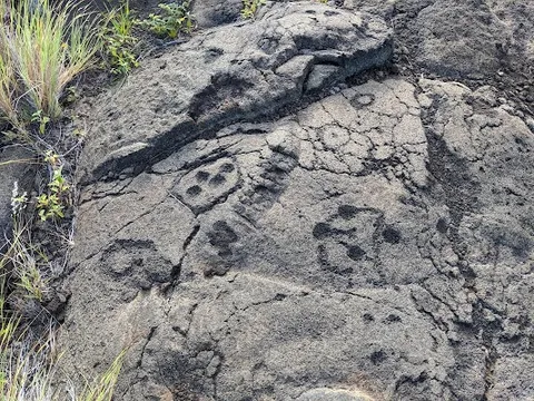 Puʻu Loa Petroglyphs — Landmark — Chain of Craters Road — United States
