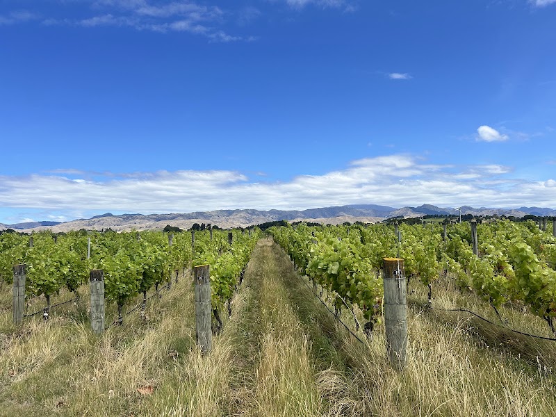 Marlborough cellar door — Optional wine visit — Nelson & Marlborough Explorer — New Zealand