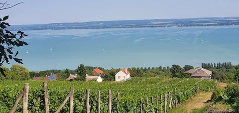 Badacsony hill walk or tasting — Landscape or wine — Danube Bend and Balaton Loop — Hungary