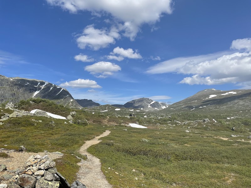 Marsfjället Nature Reserve — Nature — Vildmarksvägen Wilderness Road — Sweden