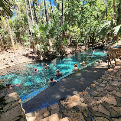 Mataranka Thermal Pools