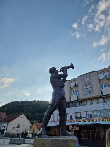 Direct festival transfer and confirmed parking/shuttle — Festival arrival — Guča Festival Drive — Serbia