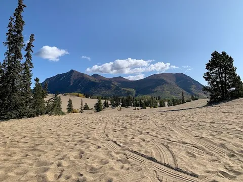 Carcross Desert — Natural Feature — Yukon Golden Circle — Canada