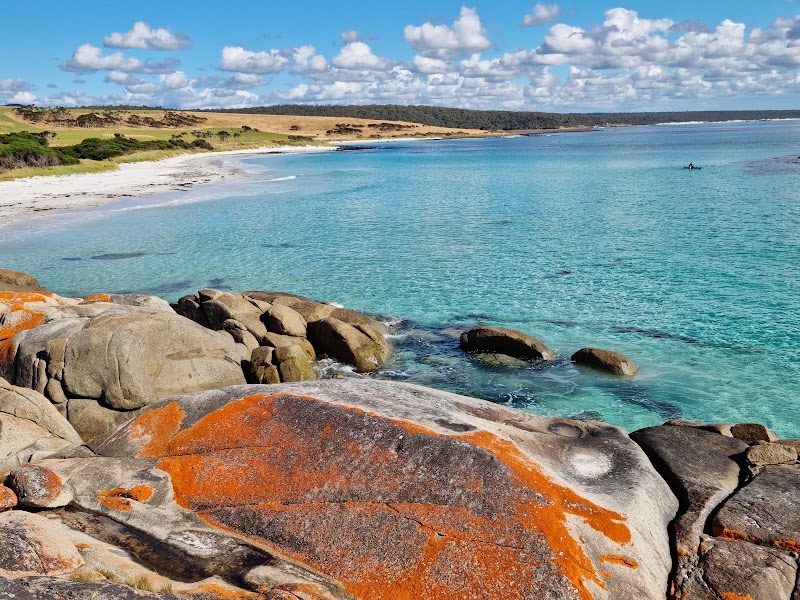 St Helens and Bay of Fires — Nature — Tasmania East Coast — Australia