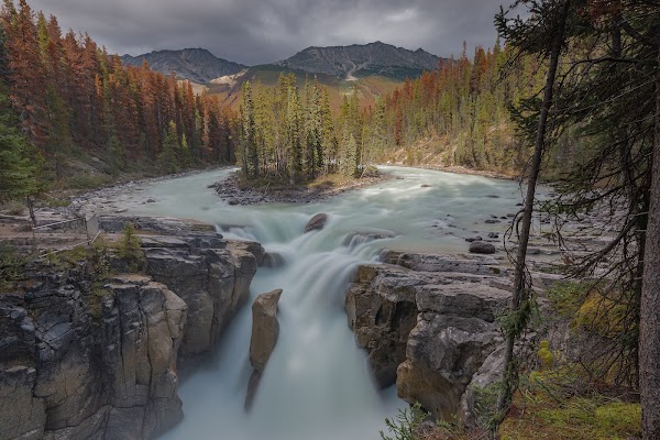 Sunwapta Falls