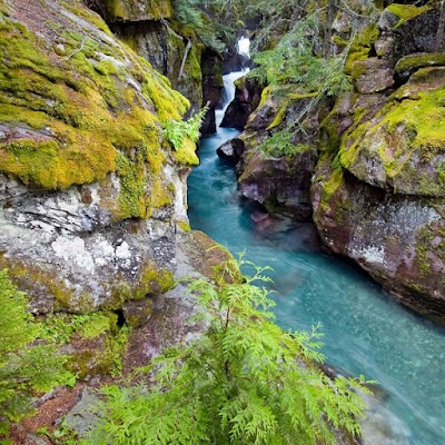 Avalanche Creek