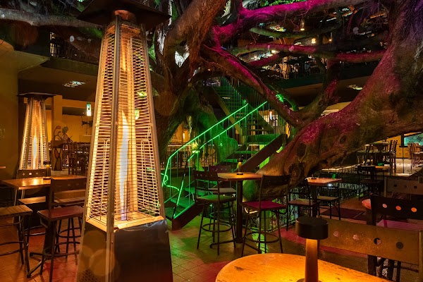 Tree House Restaurant & Café