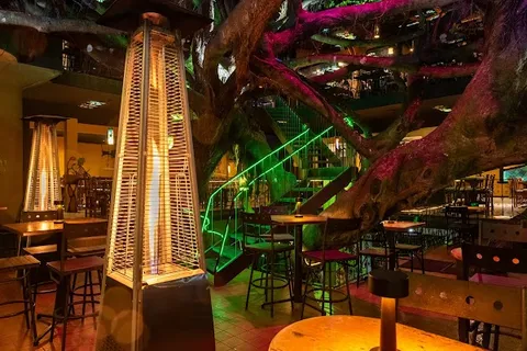 Tree House Restaurant & Café — International — Costa Rica: Parks & Wildlife — Costa Rica