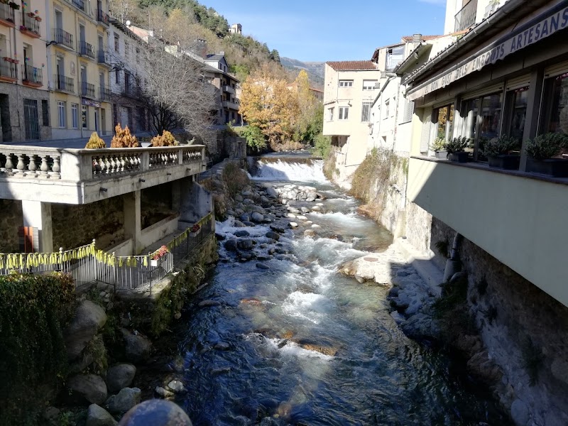 Ribes de Freser