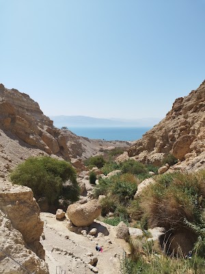 Ein Gedi Waterfall Trail